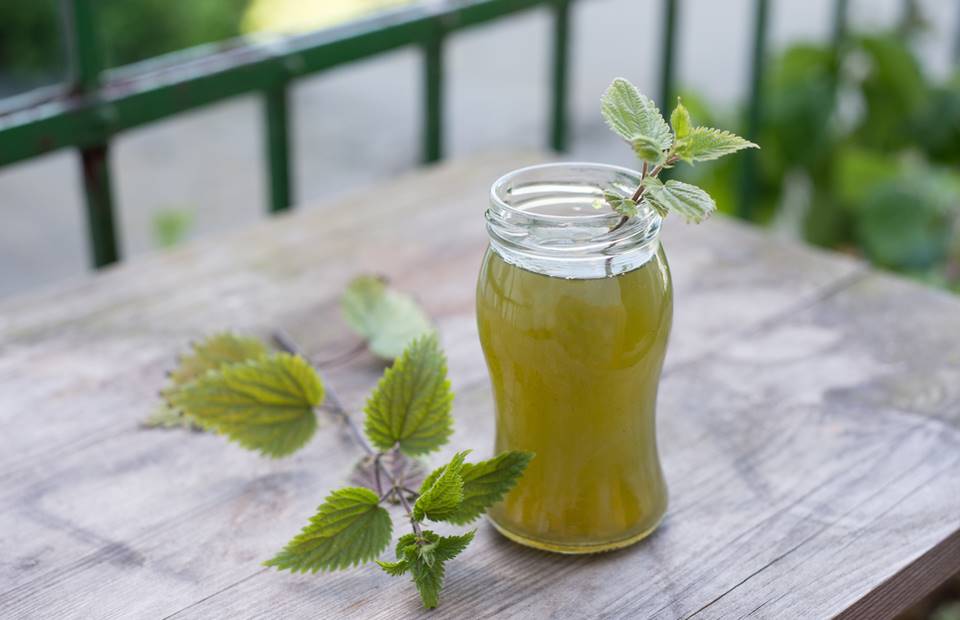 Famous nettle syrup.  It tastes great and is a miracle for health