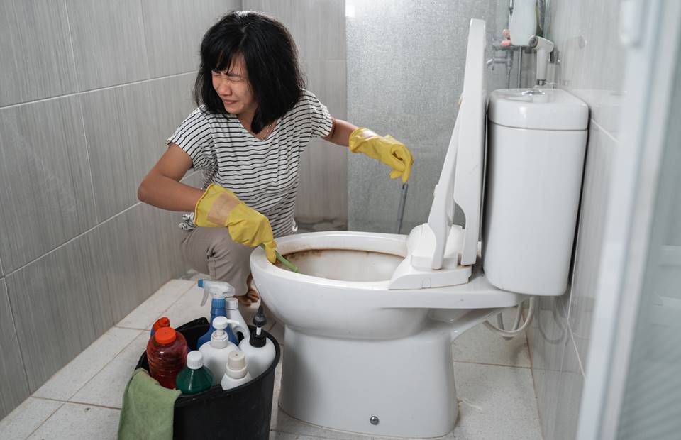 An expert lodge cleaner revealed solution tips on how to cleanse the toilet beautifully.  You’ve hardly ever had it so thoroughly clean