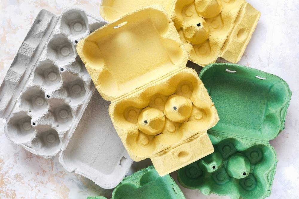 Creative and Practical Uses for Egg Carton Packaging